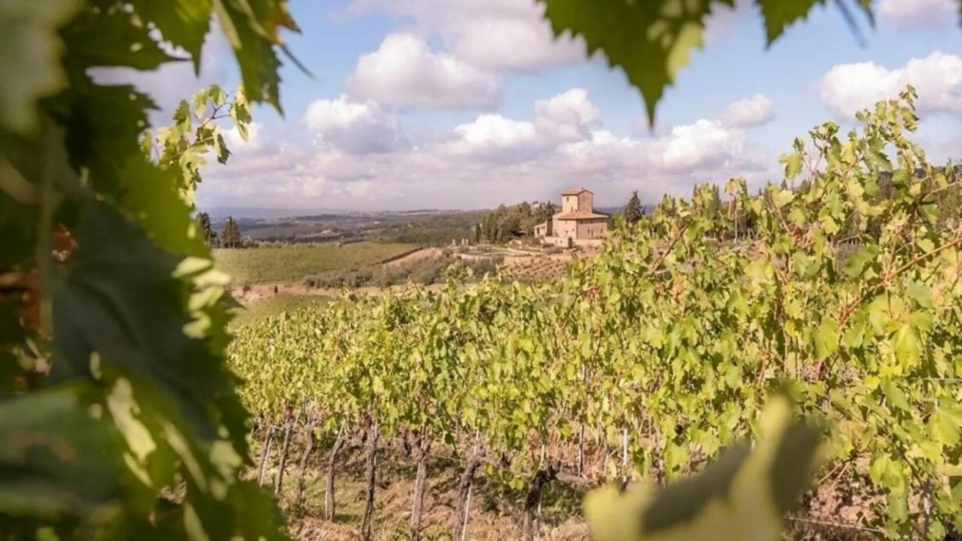 Villa Torre Merla Greve in Chianti 0*,  Italy